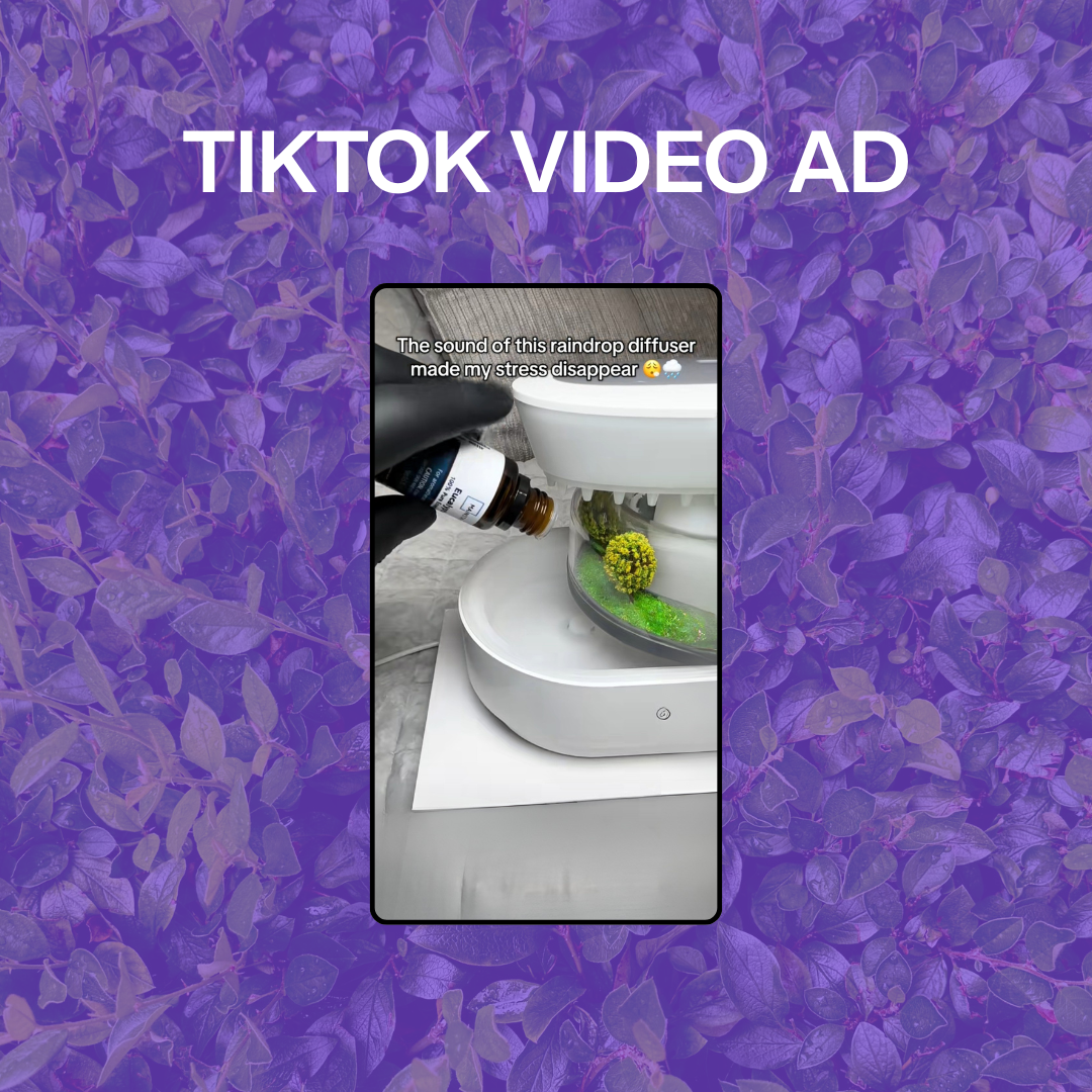 TikTok Video Ad